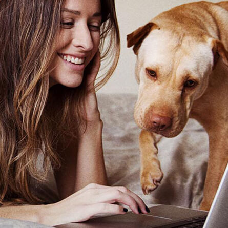 žena i pas gledaju u kompjuter