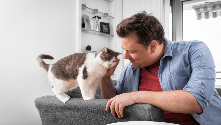 Човек милује своју мачку по лицу док она стоји на наслону софе