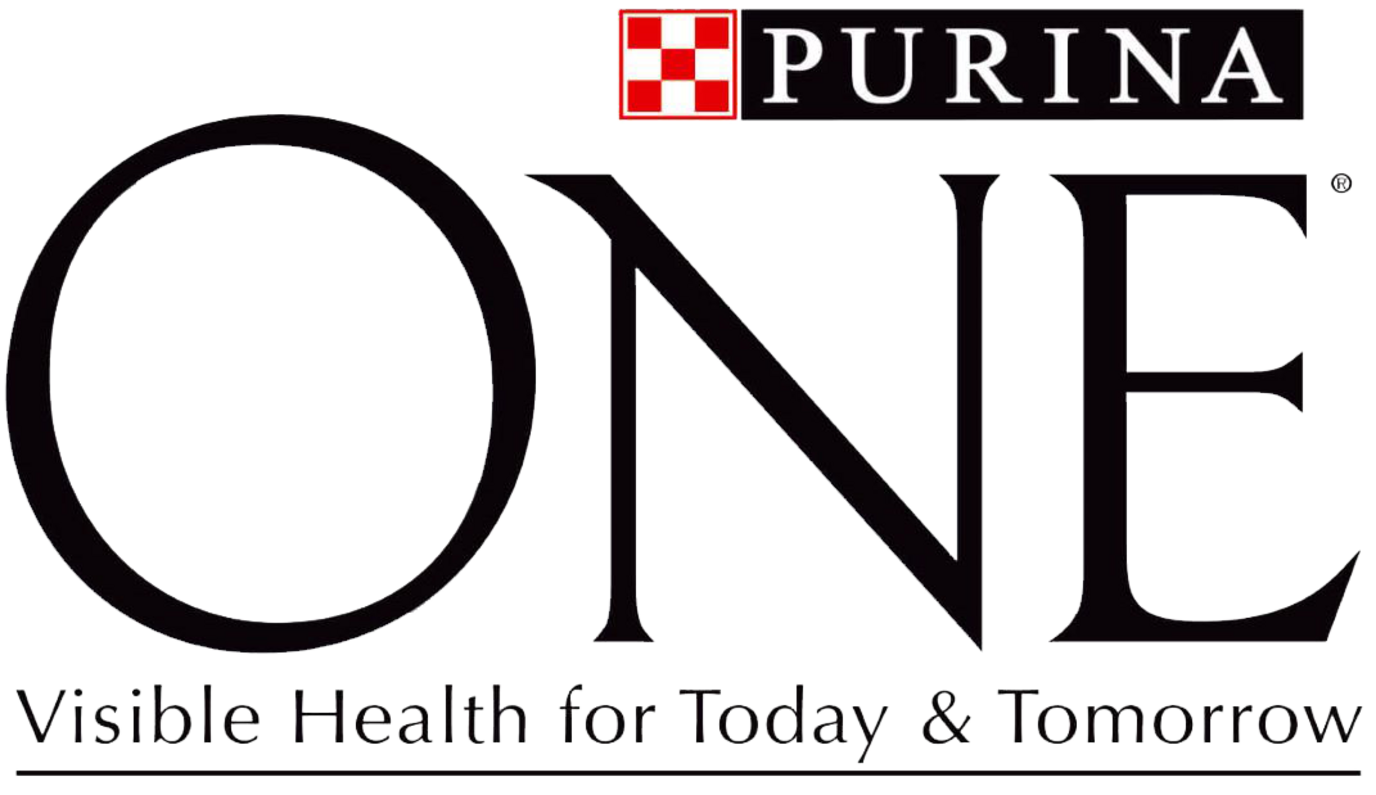 ONE logo