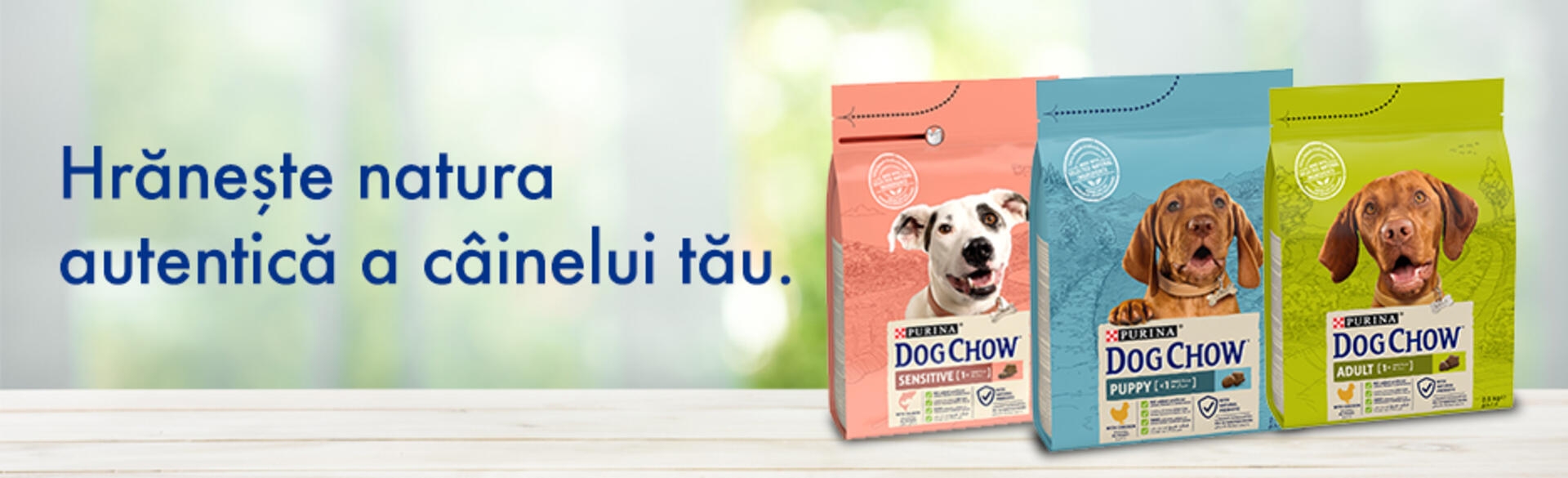 Dog Chow