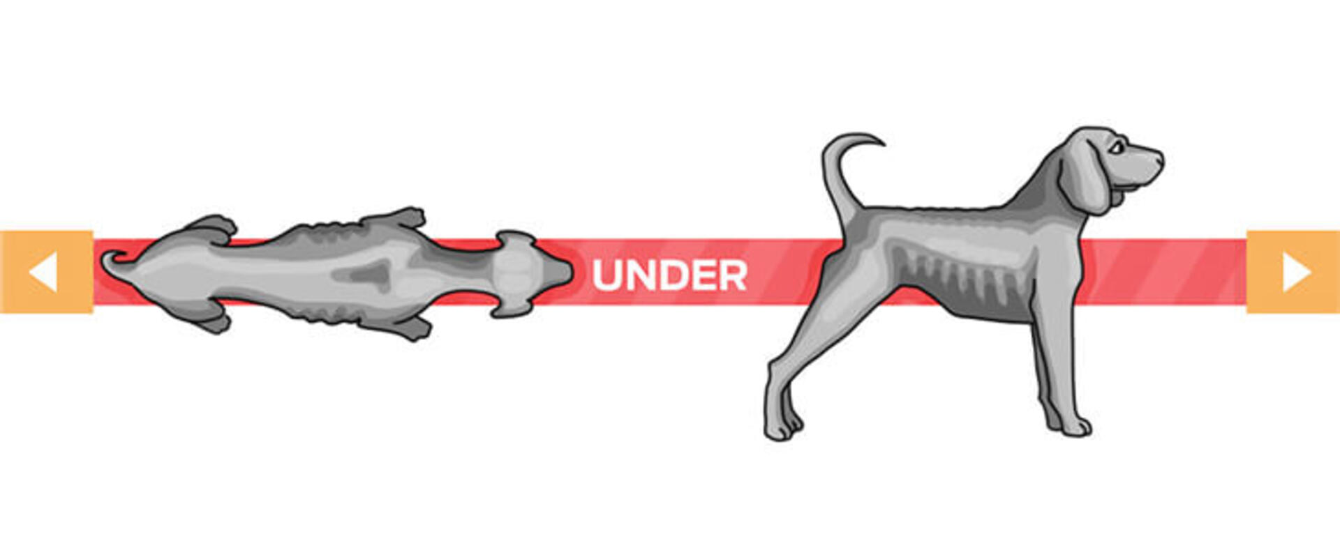 preniska telesna kondicija