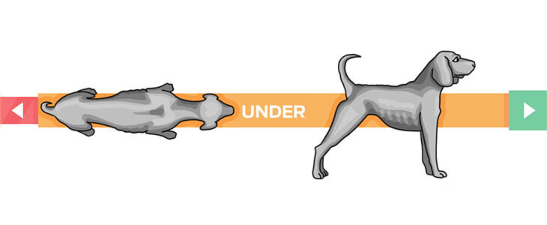 preniska telesna kondicija