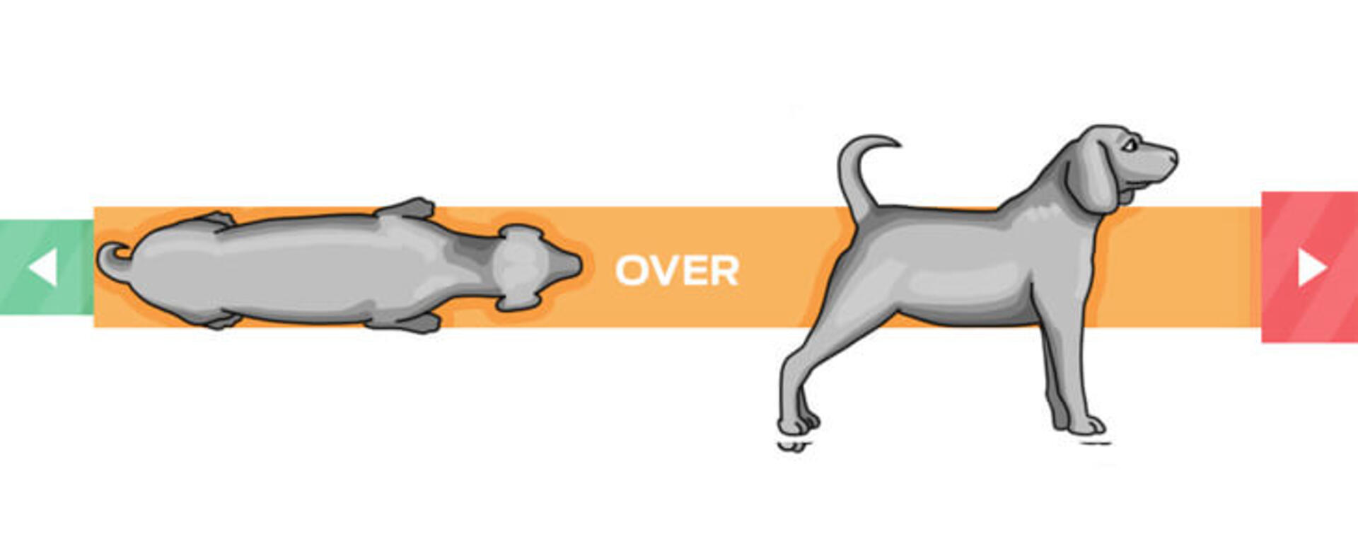 prekomerna telesna kondicija