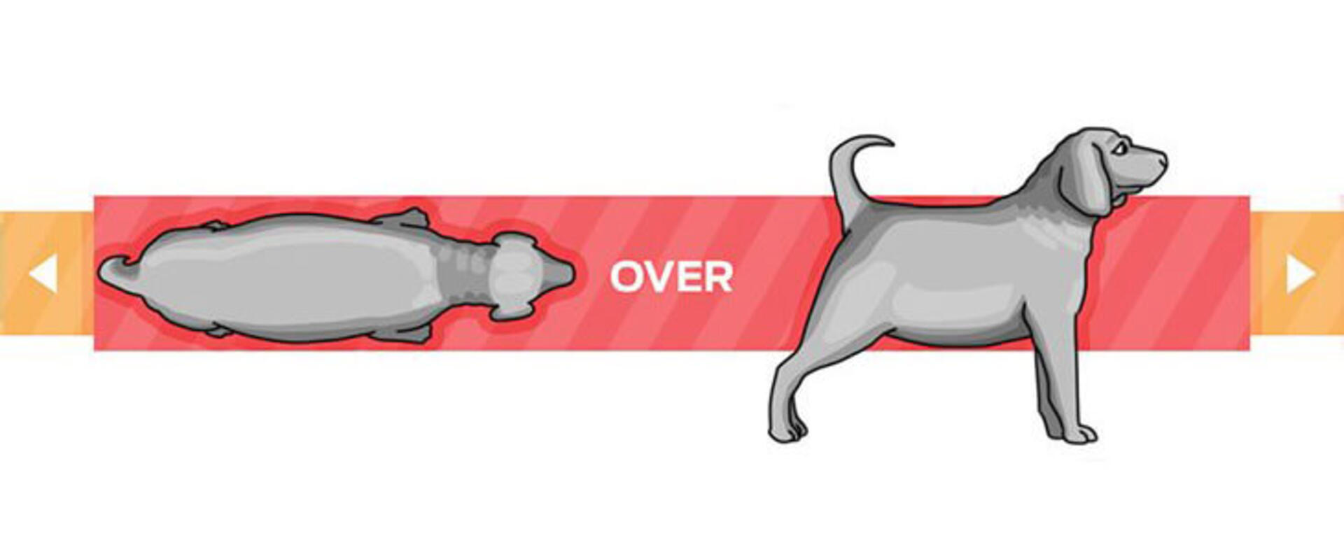 prekomerna telesna kondicija