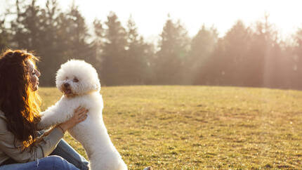 Bichon Frise sa vlasnikom