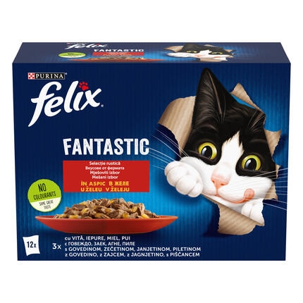 felix fantastic