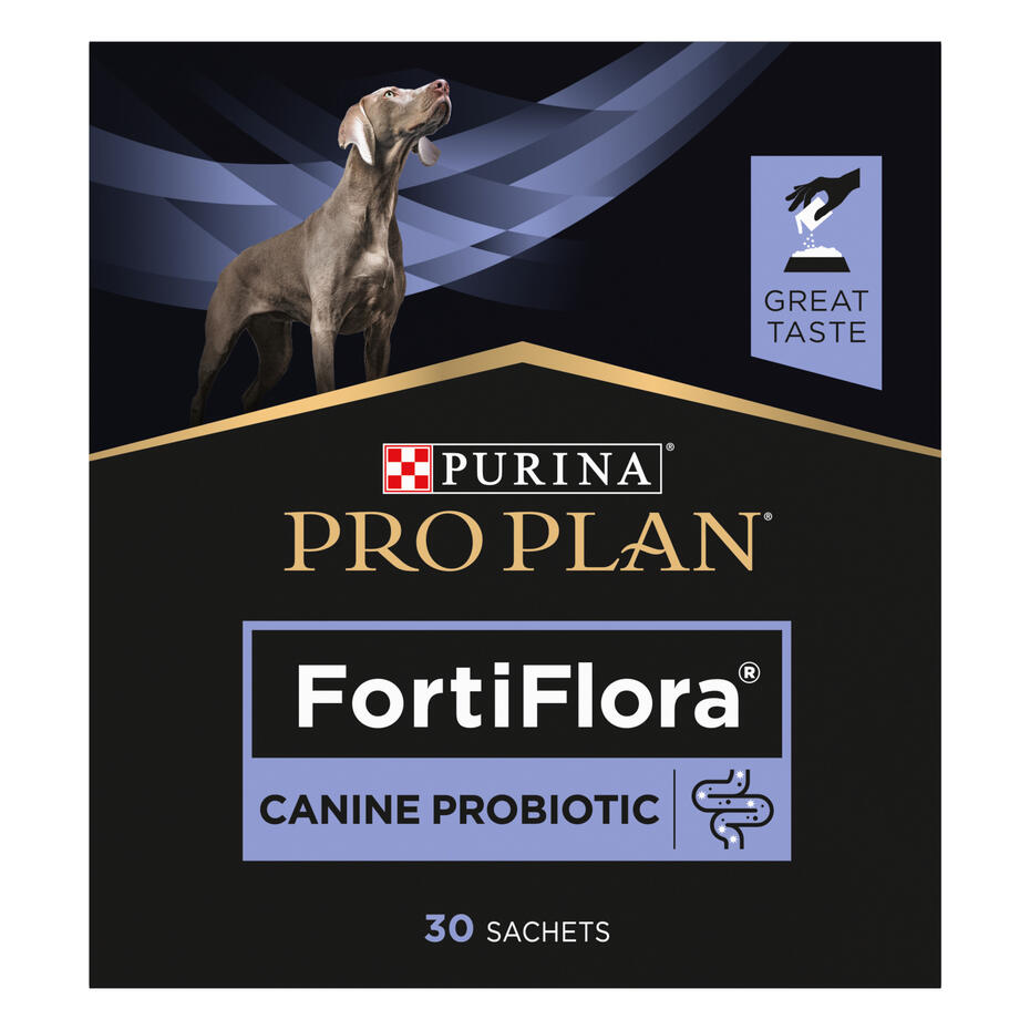 pro plan