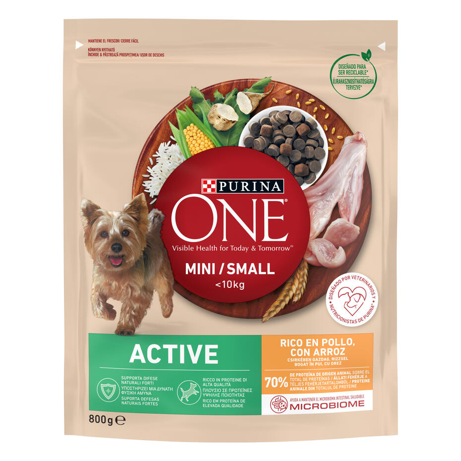 Purina One Active