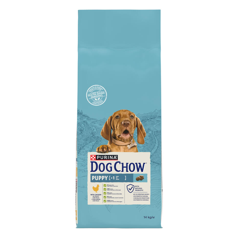 dog chow