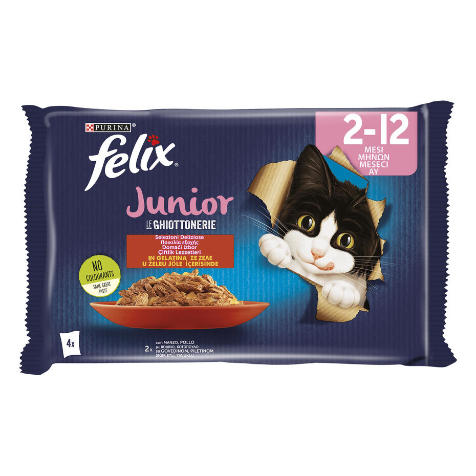 felix fantastic