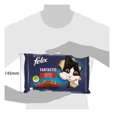 Felix Fantastic hrana za mačke sa govedinom i šargarepom, sa piletinom i paradajzom