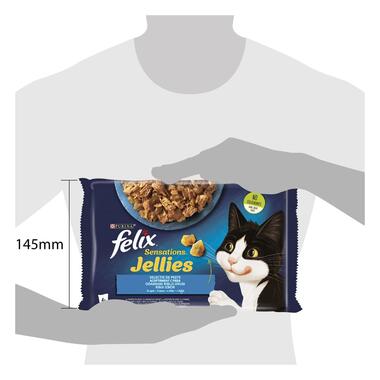 Felix Sensations hrana za mačke, multipack, losos i pastrmka