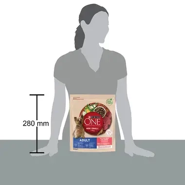 Purina One Mini Adult suva hrana za pse, govedina sa pirinčem, 800g