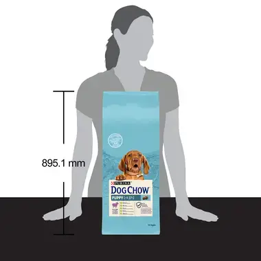 dog chow