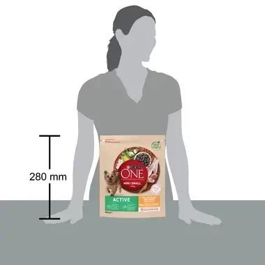 Purina One Active