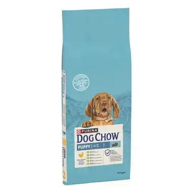 dog chow