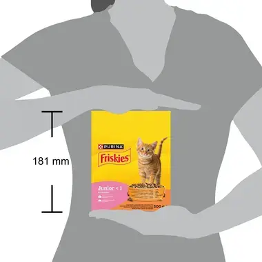 Friskies junior