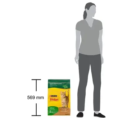 friskies indoor