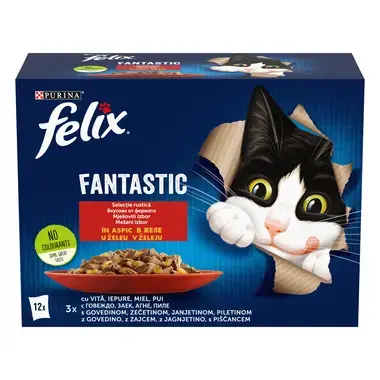 felix fantastic