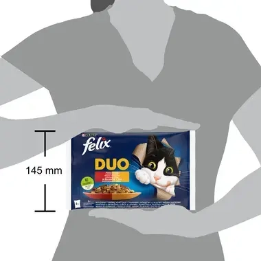 FELIX DUO