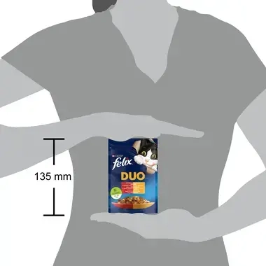 FELIX DUO