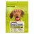 Dog Chow Adult suva hrana za pse, sa piletinom