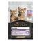 PURINA® PRO PLAN® Kitten HEALTHY START sa ćuretinom u sosu, kompletna vlažna hrana za mačiće