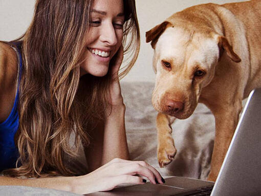 Žena i pas na laptopu
