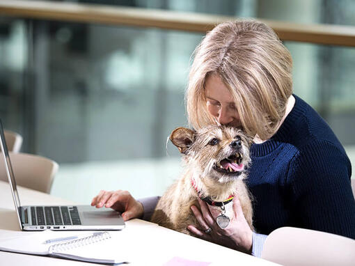 Žena i pas za laptopom