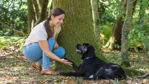 Žena je čučnula sa psom blizu drveta