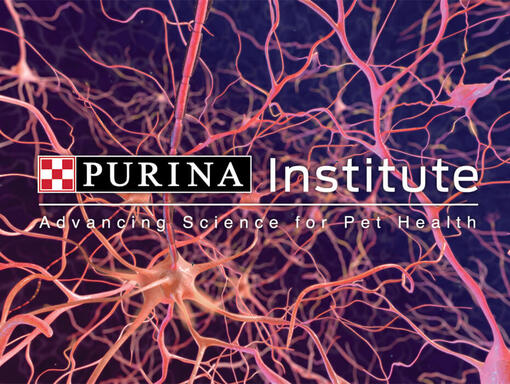 Logo instituta Purina