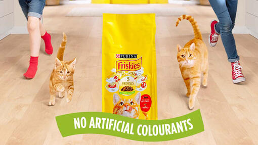 Friskies Cat Food