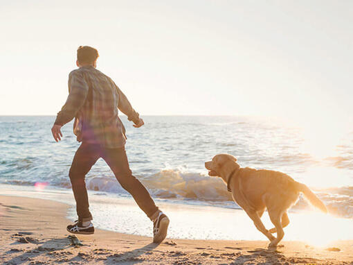 Čovek i pas trče duž obale