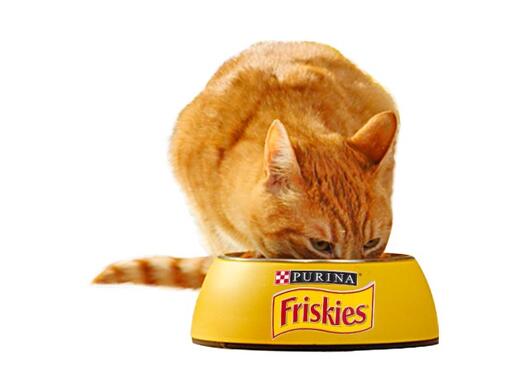 Friskies Одрасла мачка