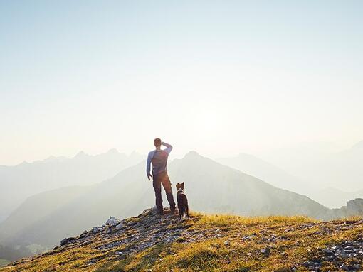 Naše prethodne obaveze za Purina u društvu