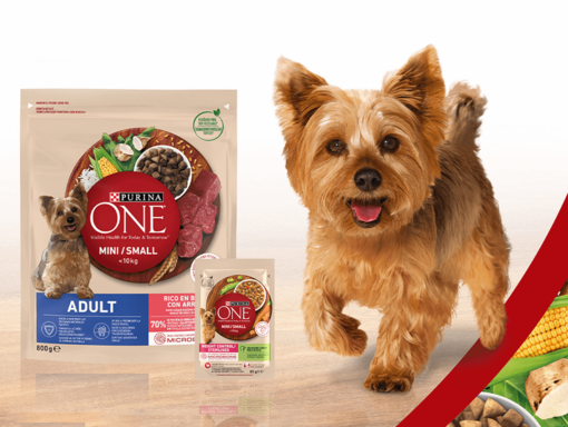 purina one dog