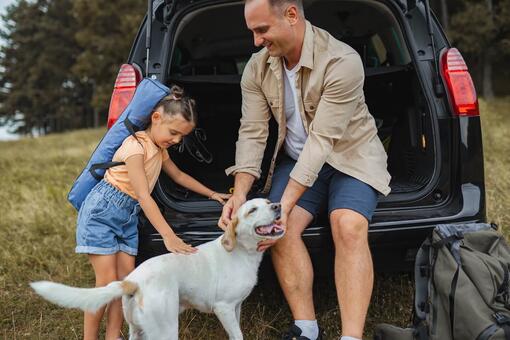 Putovanje automobilom za pse: vodič za bezbedna i udobna putovanja