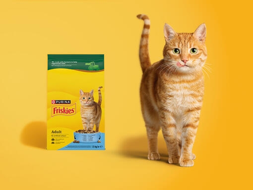 friskies cat