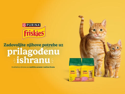 friskies cat