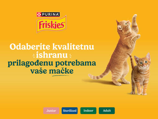 friskies cat